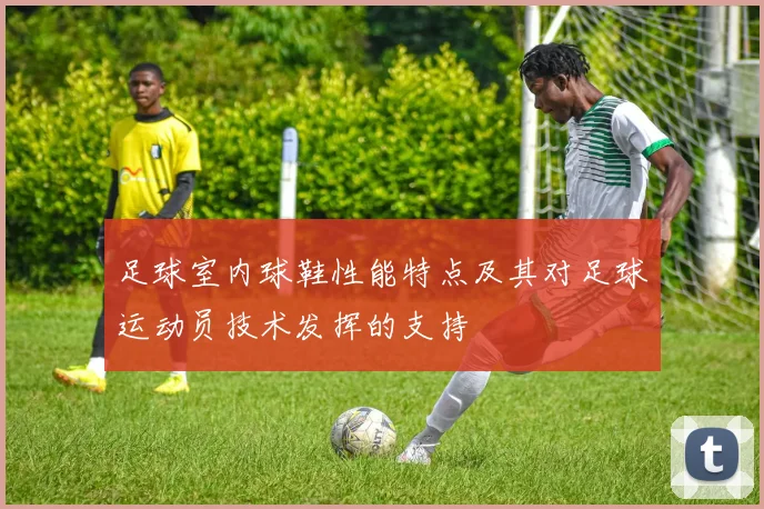 足球室内球鞋性能特点及其对足球运动员技术发挥的支持